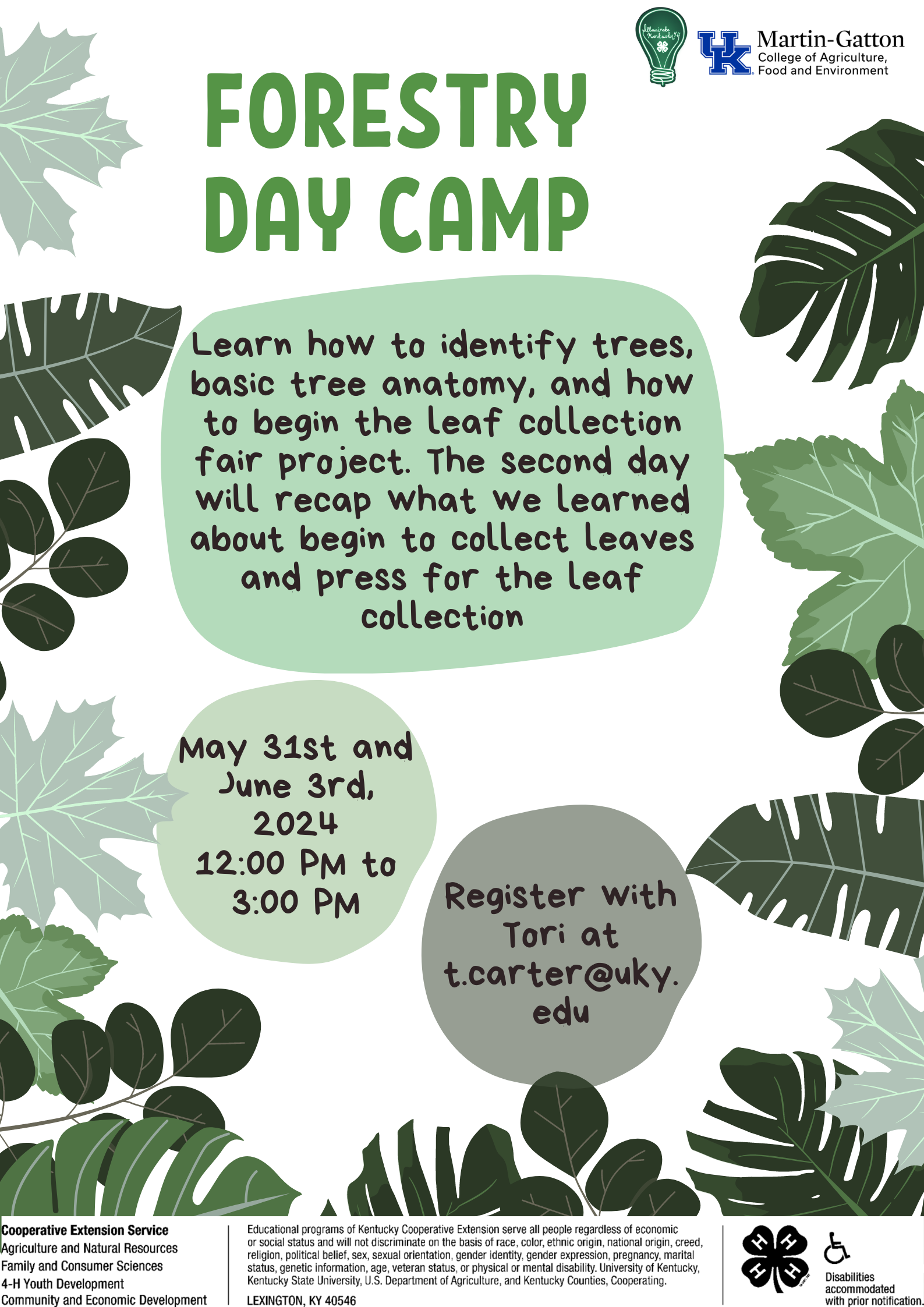 Flyer forestry day camp