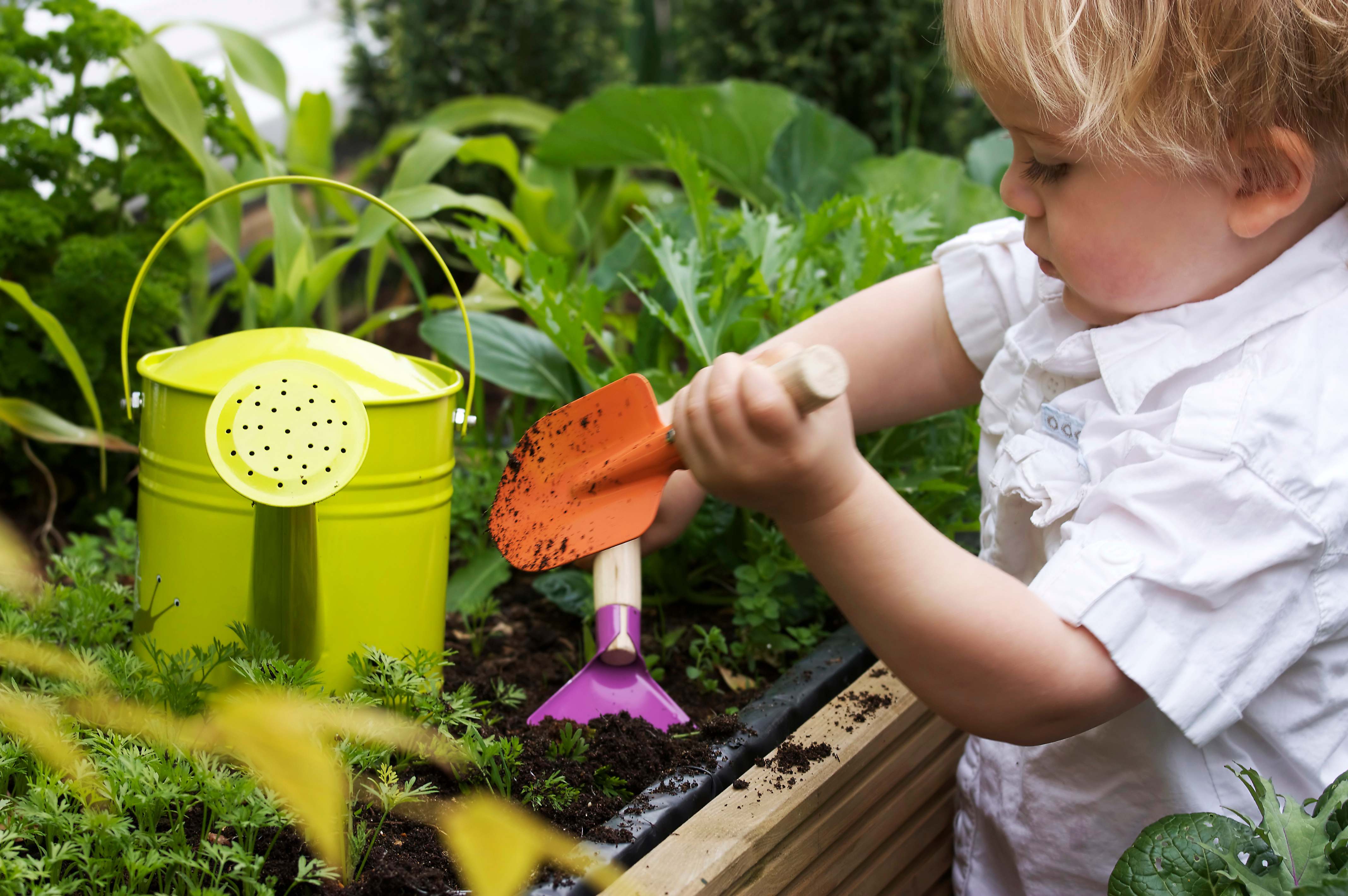 Toddler gardening