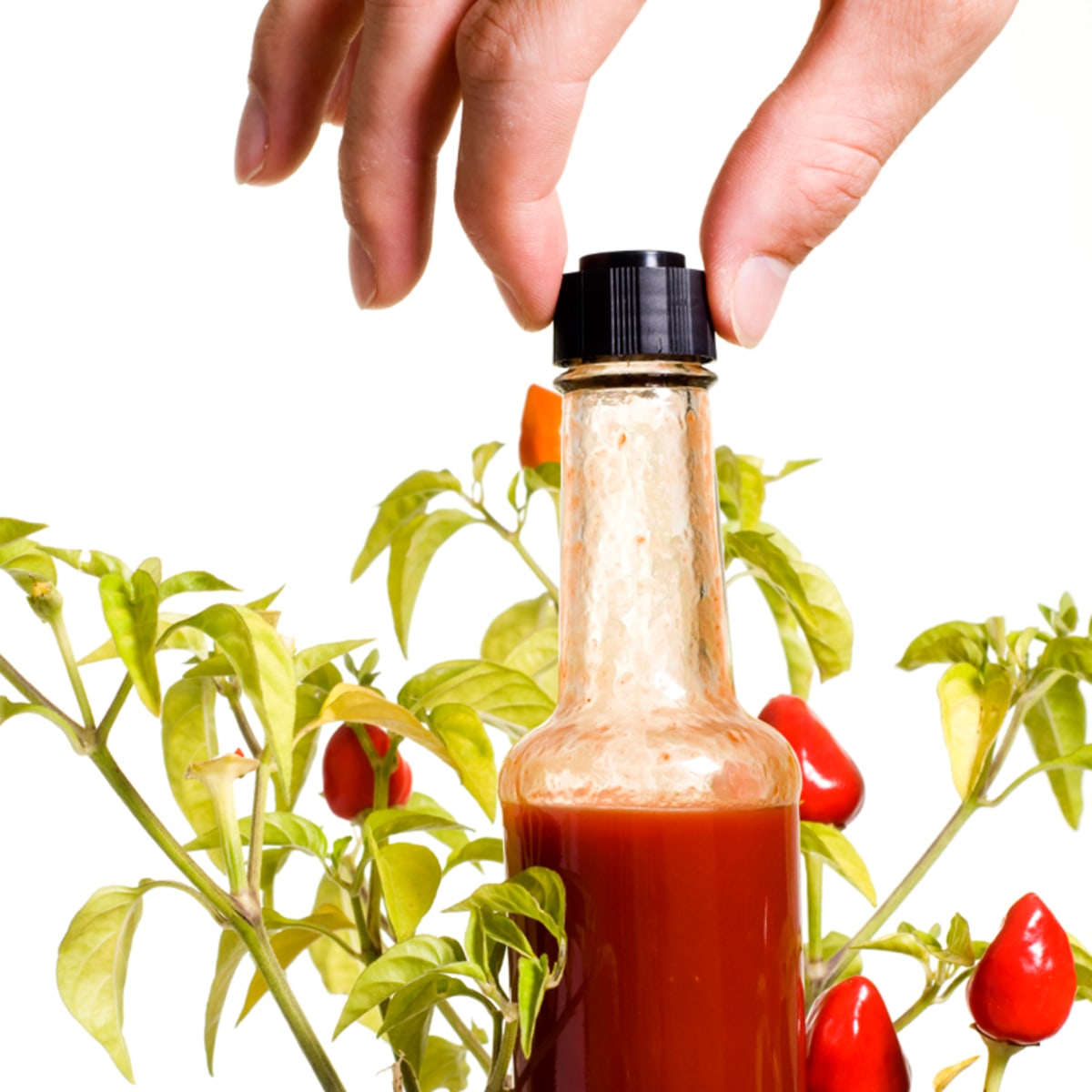 Peppers and hot sauce bottle