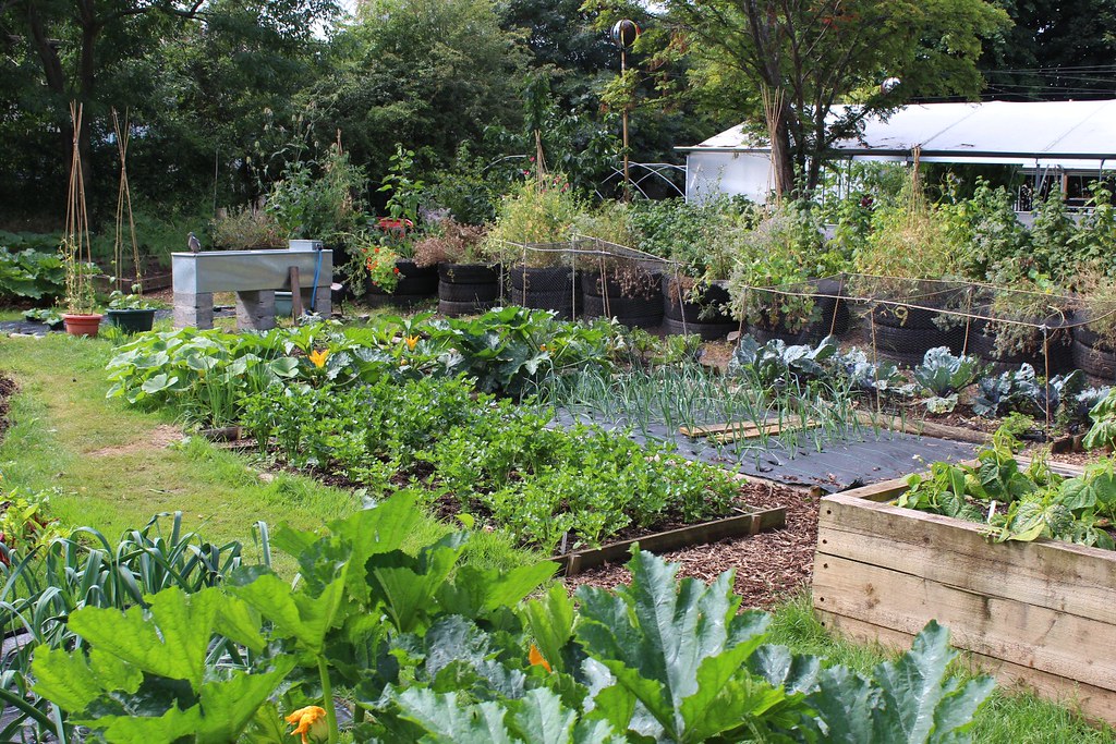 Permaculture garden