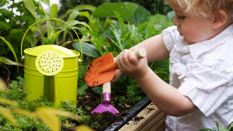 Toddler gardening