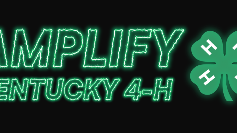 Amplify KY 4-H